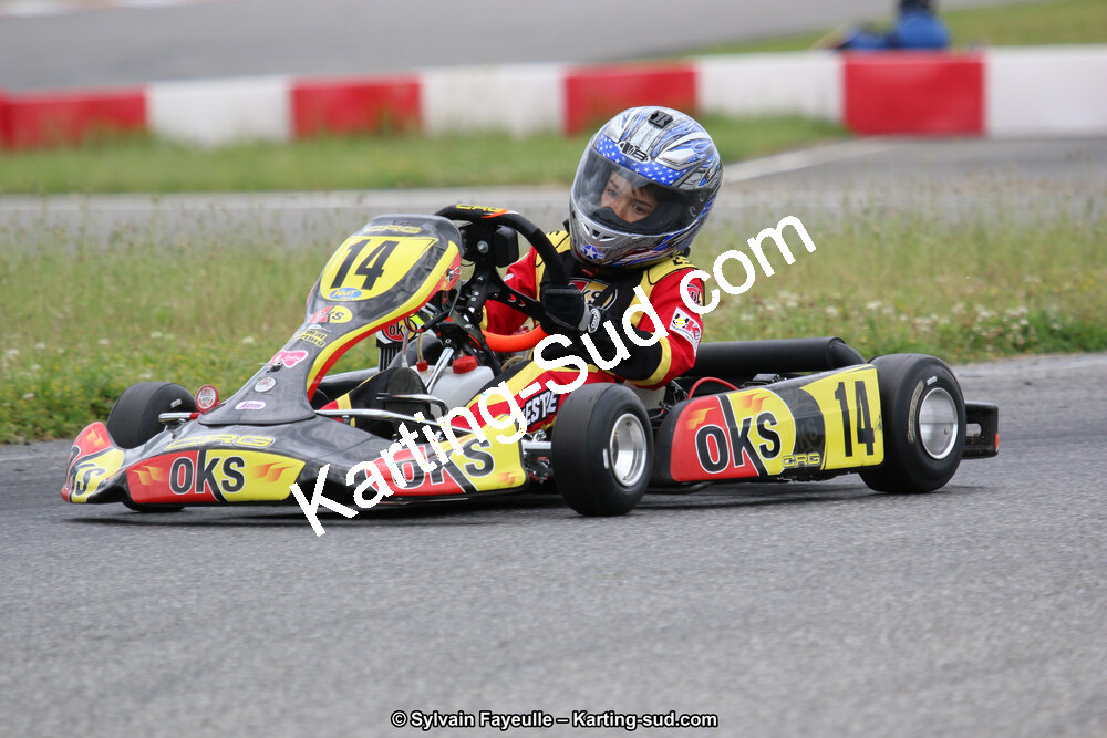 12/06/2016 : Course Club de Muret (Photos Sylvain Fayeulle) 2016 — karting