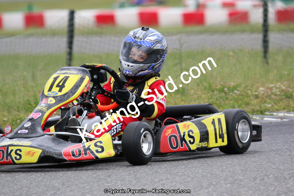 12/06/2016 : Course Club de Muret (Photos Sylvain Fayeulle) 2016 — karting