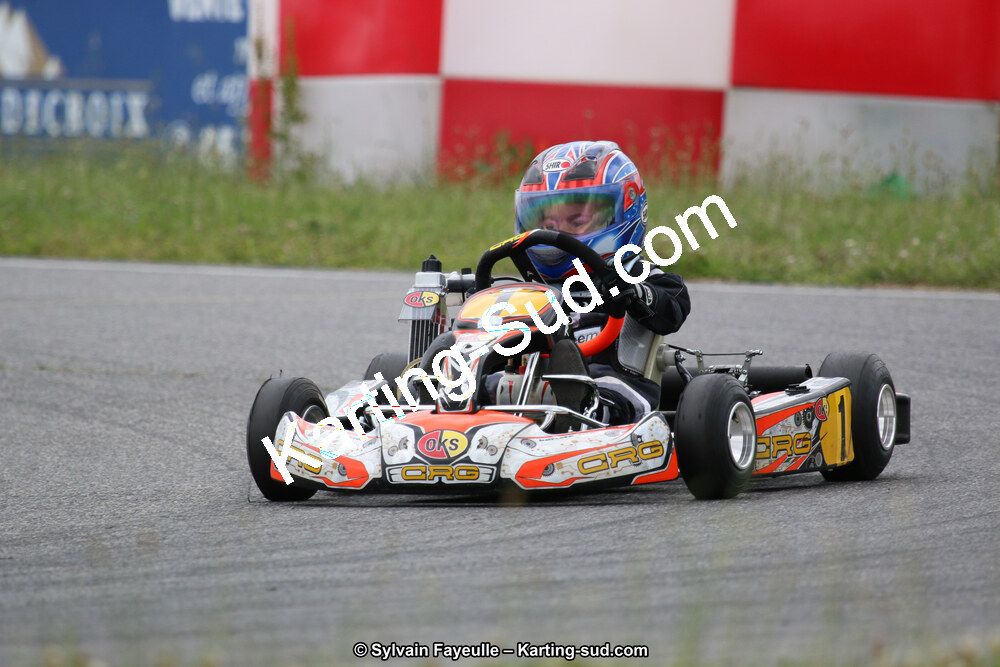 12/06/2016 : Course Club de Muret (Photos Sylvain Fayeulle) 2016 — karting