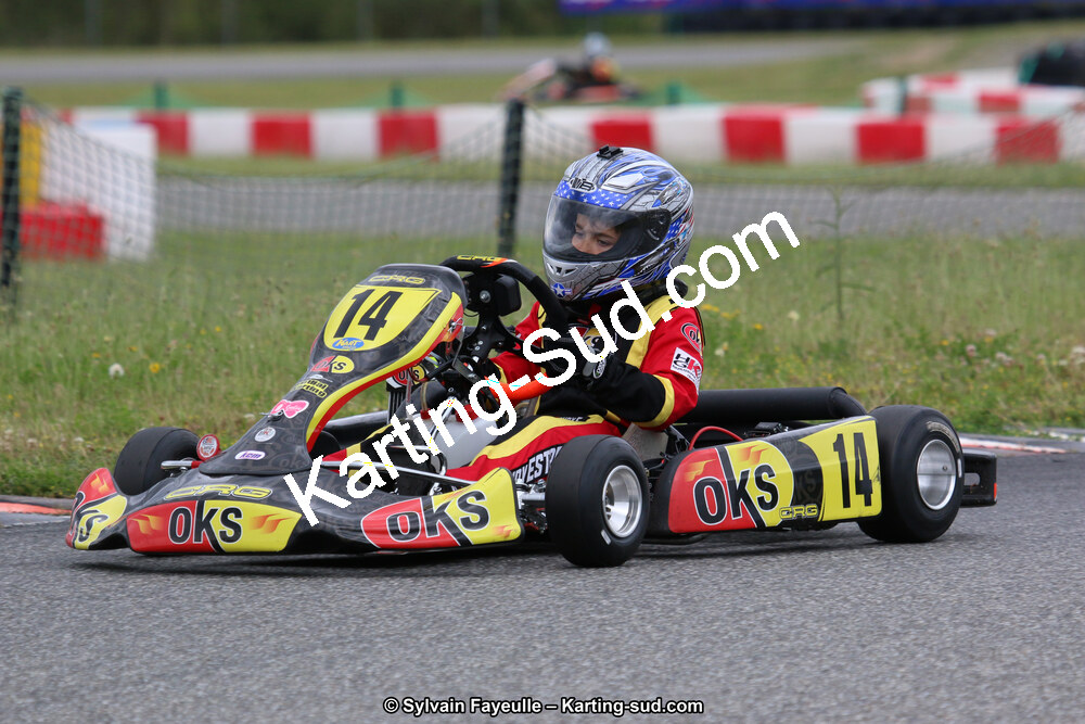12/06/2016 : Course Club de Muret (Photos Sylvain Fayeulle) 2016 — karting
