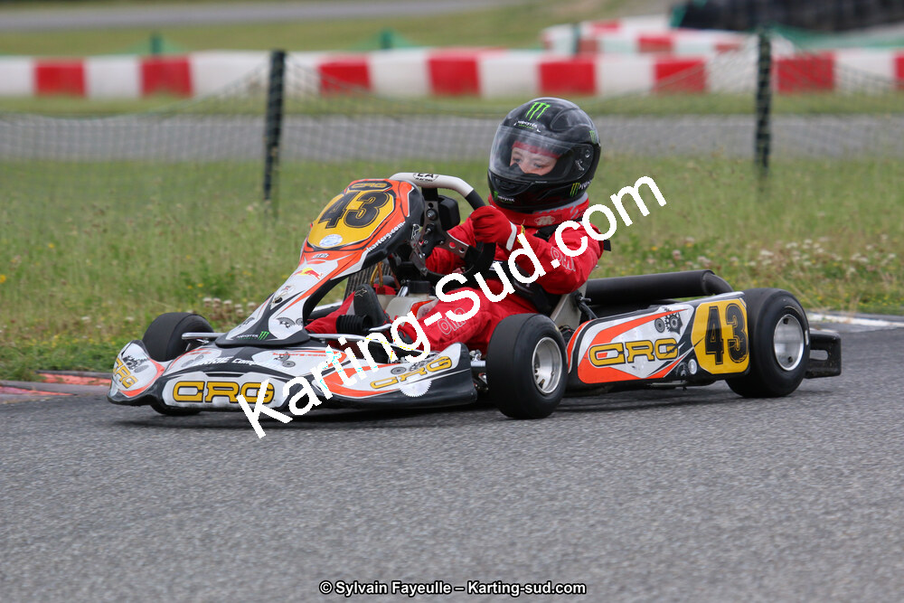 12/06/2016 : Course Club de Muret (Photos Sylvain Fayeulle) 2016 — karting