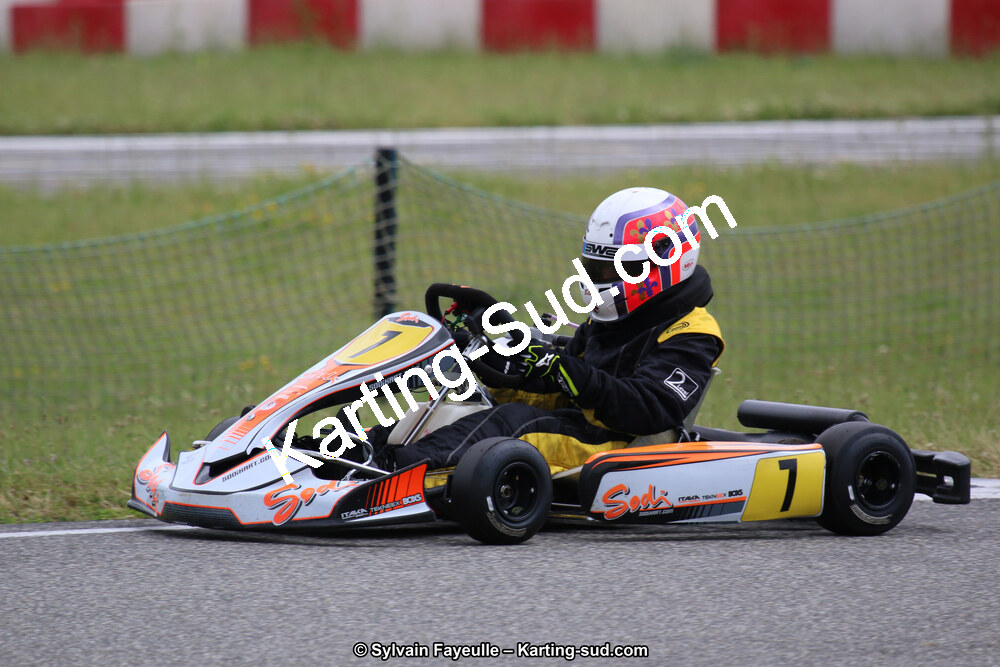 12/06/2016 : Course Club de Muret (Photos Sylvain Fayeulle) 2016 — karting
