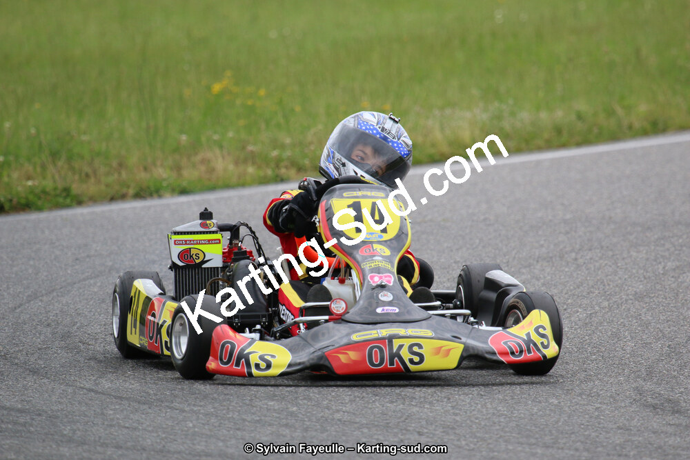 12/06/2016 : Course Club de Muret (Photos Sylvain Fayeulle) 2016 — karting