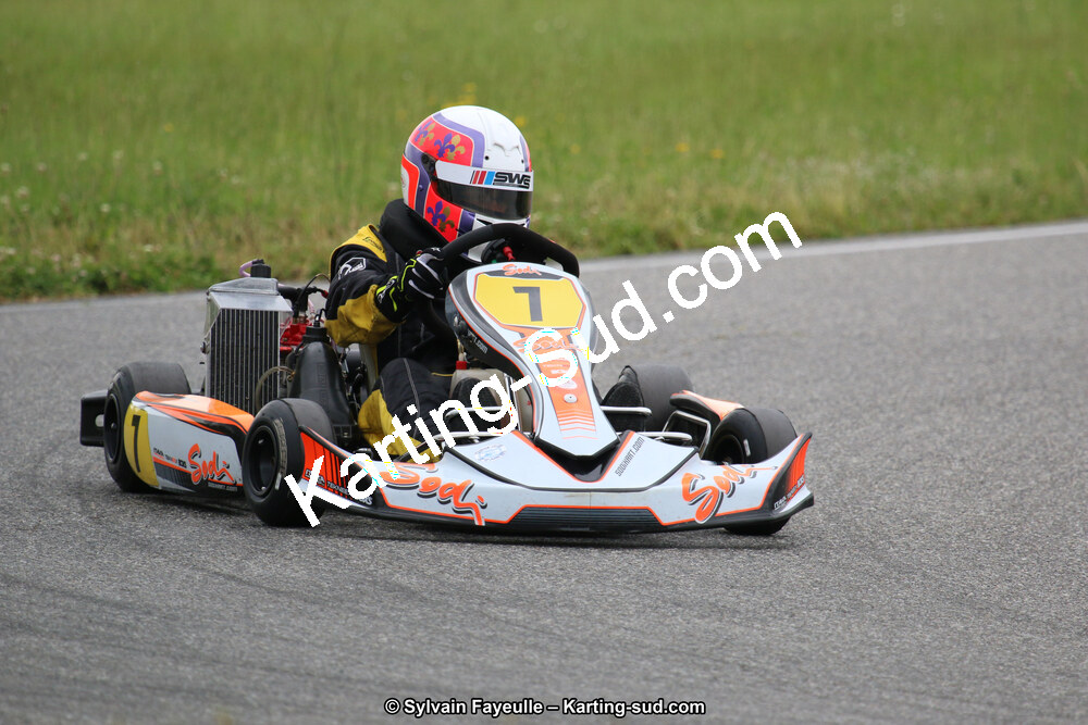12/06/2016 : Course Club de Muret (Photos Sylvain Fayeulle) 2016 — karting