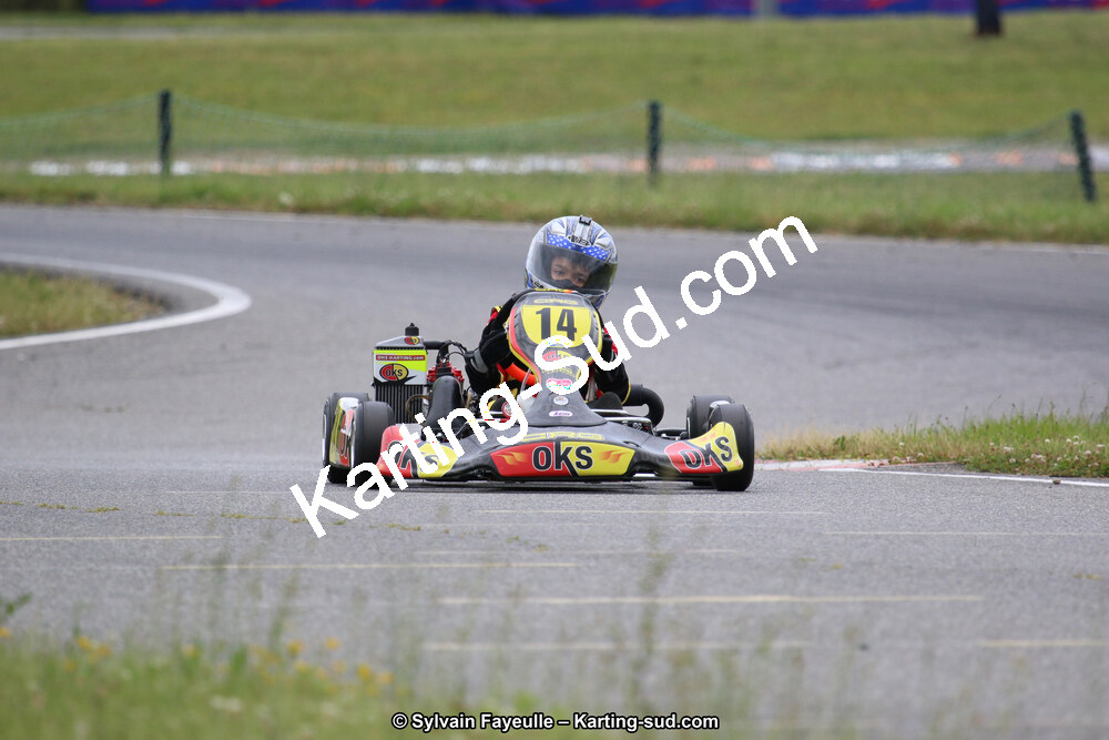 12/06/2016 : Course Club de Muret (Photos Sylvain Fayeulle) 2016 — karting