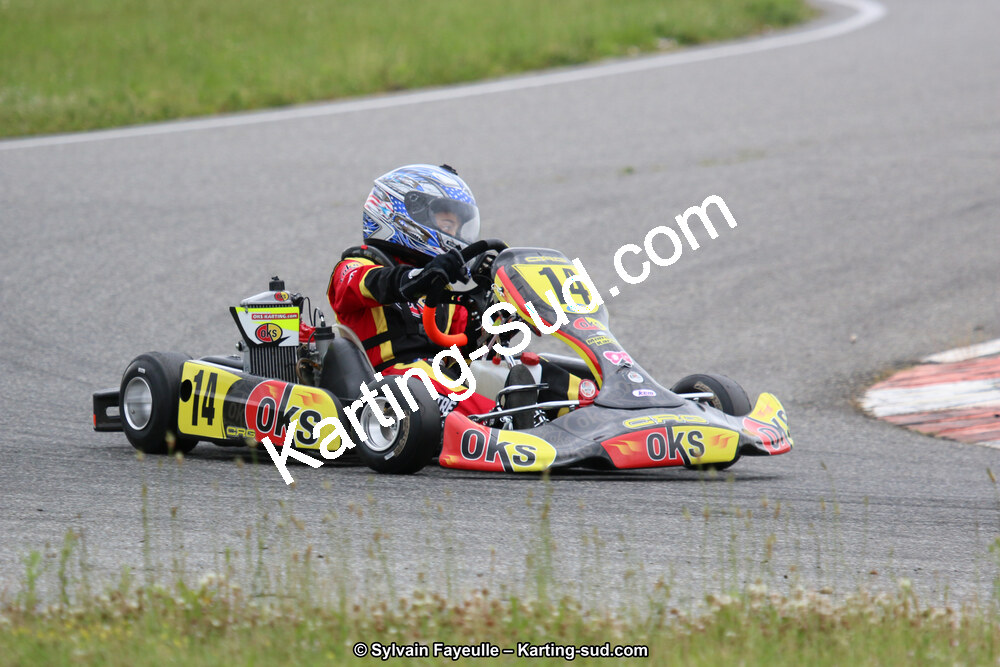 12/06/2016 : Course Club de Muret (Photos Sylvain Fayeulle) 2016 — karting
