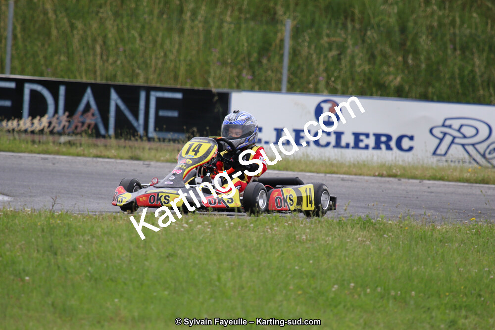 12/06/2016 : Course Club de Muret (Photos Sylvain Fayeulle) 2016 — karting