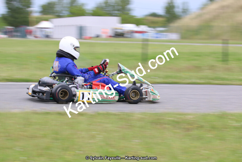 12/06/2016 : Course Club de Muret (Photos Sylvain Fayeulle) 2016 — karting