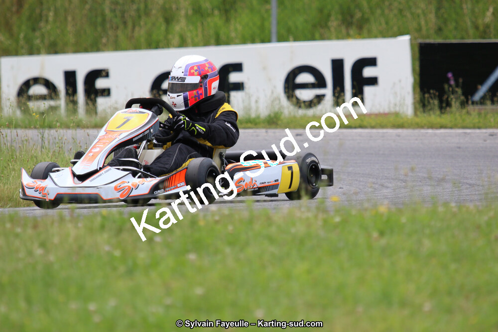 12/06/2016 : Course Club de Muret (Photos Sylvain Fayeulle) 2016 — karting