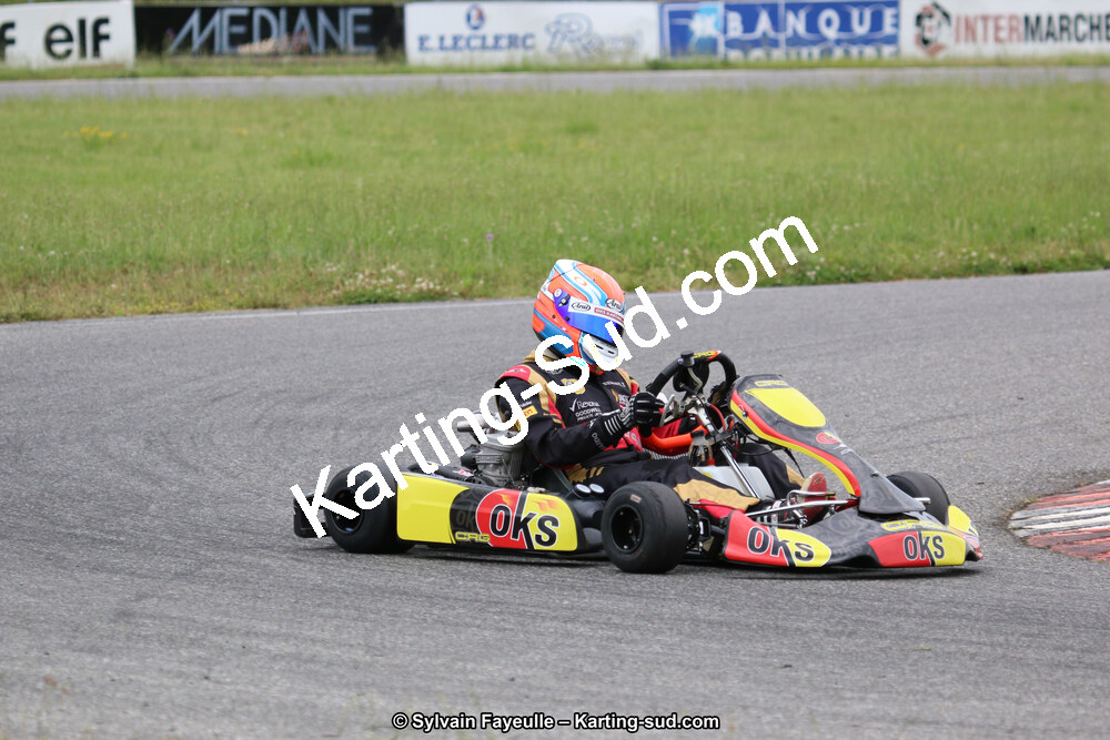 12/06/2016 : Course Club de Muret (Photos Sylvain Fayeulle) 2016 — karting