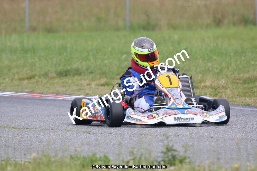 12/06/2016 : Course Club de Muret (Photos Sylvain Fayeulle) 2016 — karting
