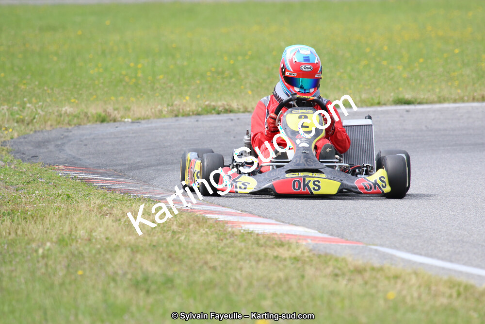 12/06/2016 : Course Club de Muret (Photos Sylvain Fayeulle) 2016 — karting