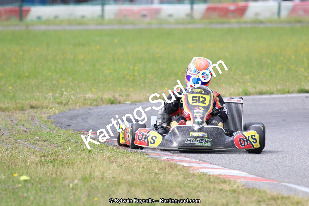 12/06/2016 : Course Club de Muret (Photos Sylvain Fayeulle) 2016 — karting