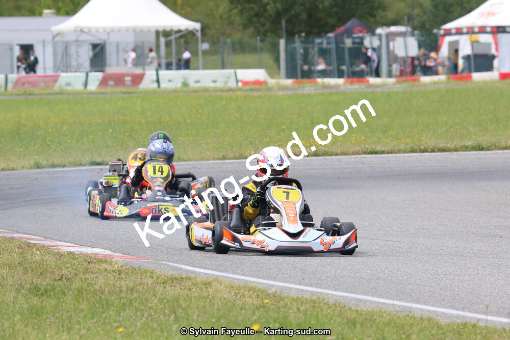 12/06/2016 : Course Club de Muret (Photos Sylvain Fayeulle) 2016 — karting