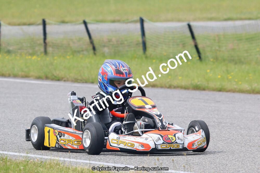 12/06/2016 : Course Club de Muret (Photos Sylvain Fayeulle) 2016 — karting