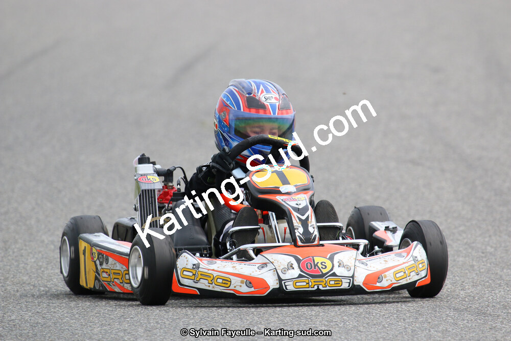 12/06/2016 : Course Club de Muret (Photos Sylvain Fayeulle) 2016 — karting