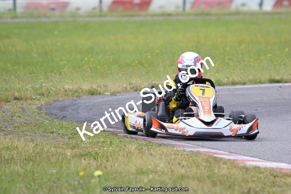 12/06/2016 : Course Club de Muret (Photos Sylvain Fayeulle) 2016 — karting