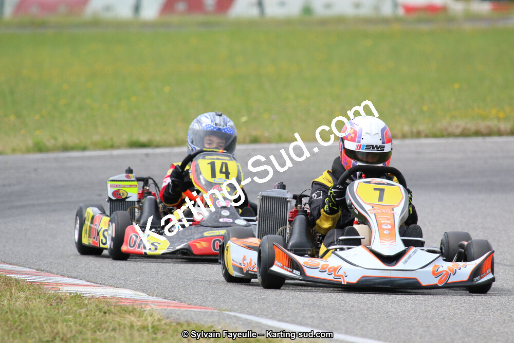 12/06/2016 : Course Club de Muret (Photos Sylvain Fayeulle) 2016 — karting