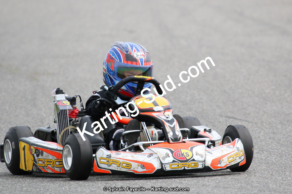 12/06/2016 : Course Club de Muret (Photos Sylvain Fayeulle) 2016 — karting