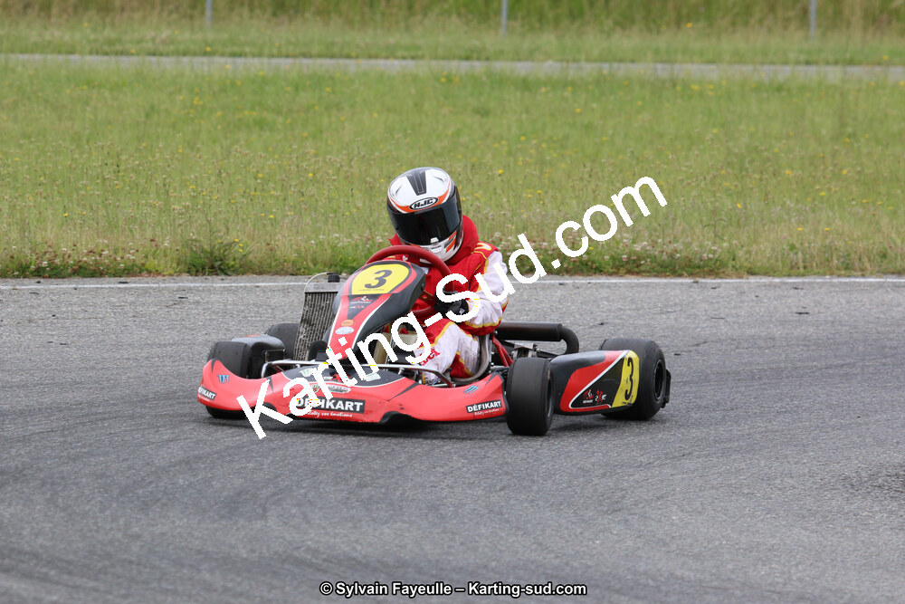 12/06/2016 : Course Club de Muret (Photos Sylvain Fayeulle) 2016 — karting