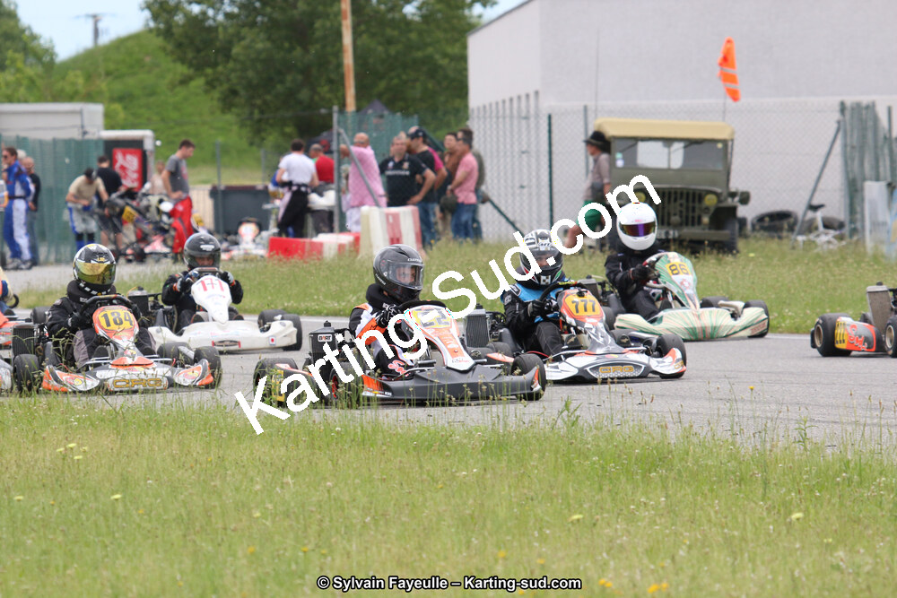 IMG_3145.JPG