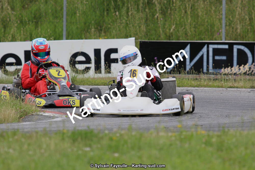 12/06/2016 : Course Club de Muret (Photos Sylvain Fayeulle) 2016 — karting