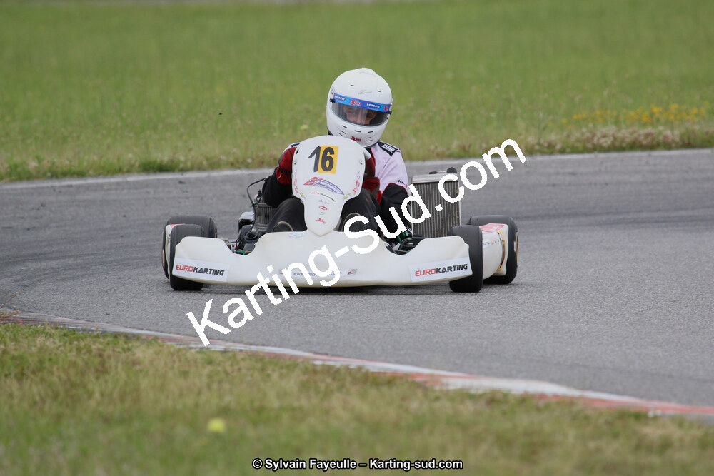 12/06/2016 : Course Club de Muret (Photos Sylvain Fayeulle) 2016 — karting