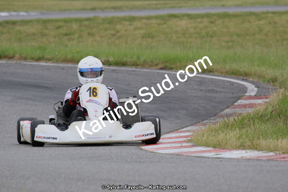 12/06/2016 : Course Club de Muret (Photos Sylvain Fayeulle) 2016 — karting