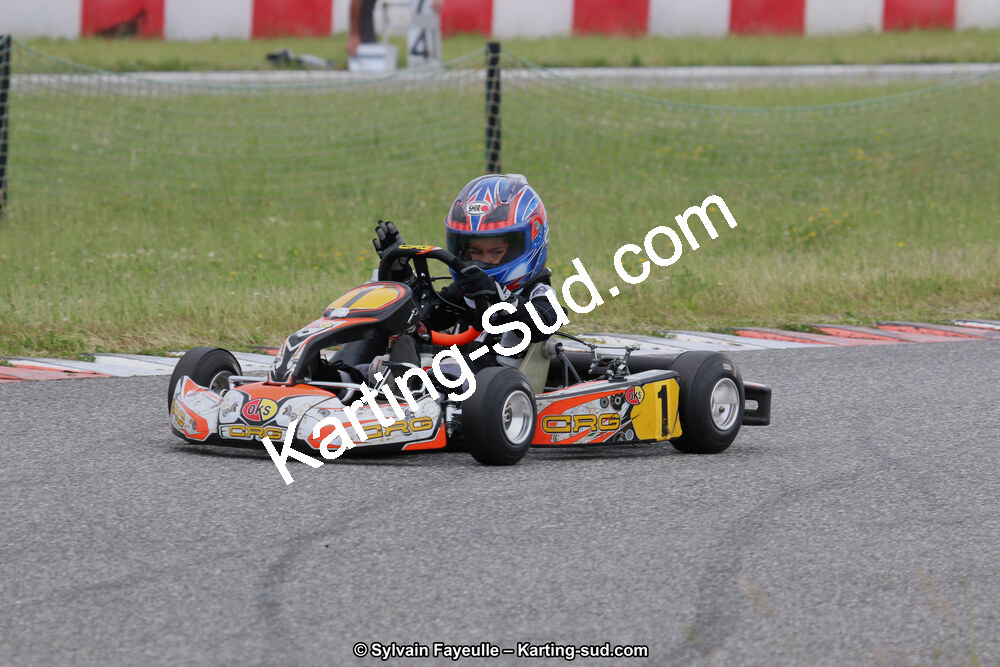 IMG_3771.JPG