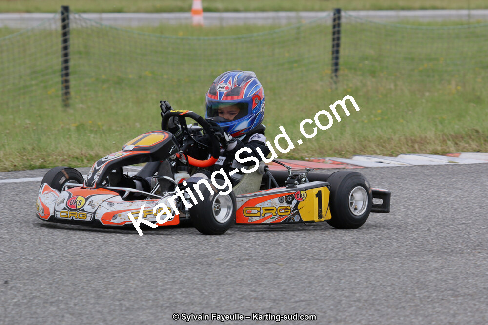 12/06/2016 : Course Club de Muret (Photos Sylvain Fayeulle) 2016 — karting
