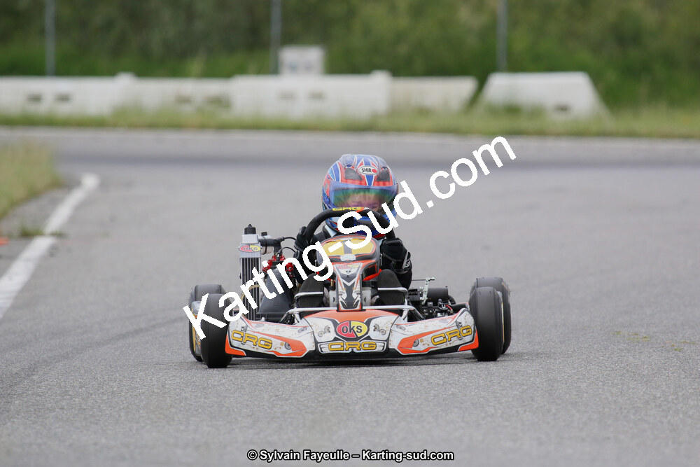 12/06/2016 : Course Club de Muret (Photos Sylvain Fayeulle) 2016 — karting