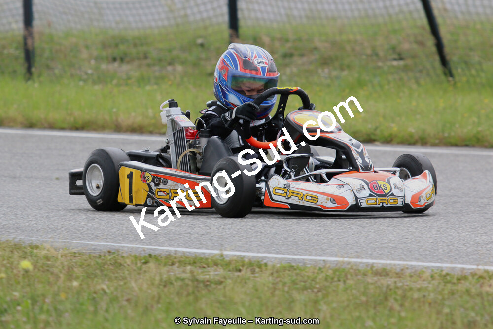 12/06/2016 : Course Club de Muret (Photos Sylvain Fayeulle) 2016 — karting