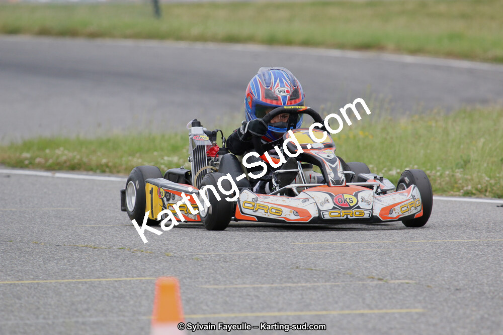 12/06/2016 : Course Club de Muret (Photos Sylvain Fayeulle) 2016 — karting