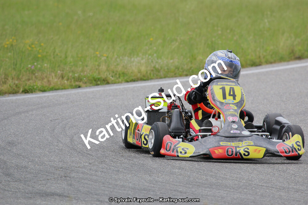 12/06/2016 : Course Club de Muret (Photos Sylvain Fayeulle) 2016 — karting