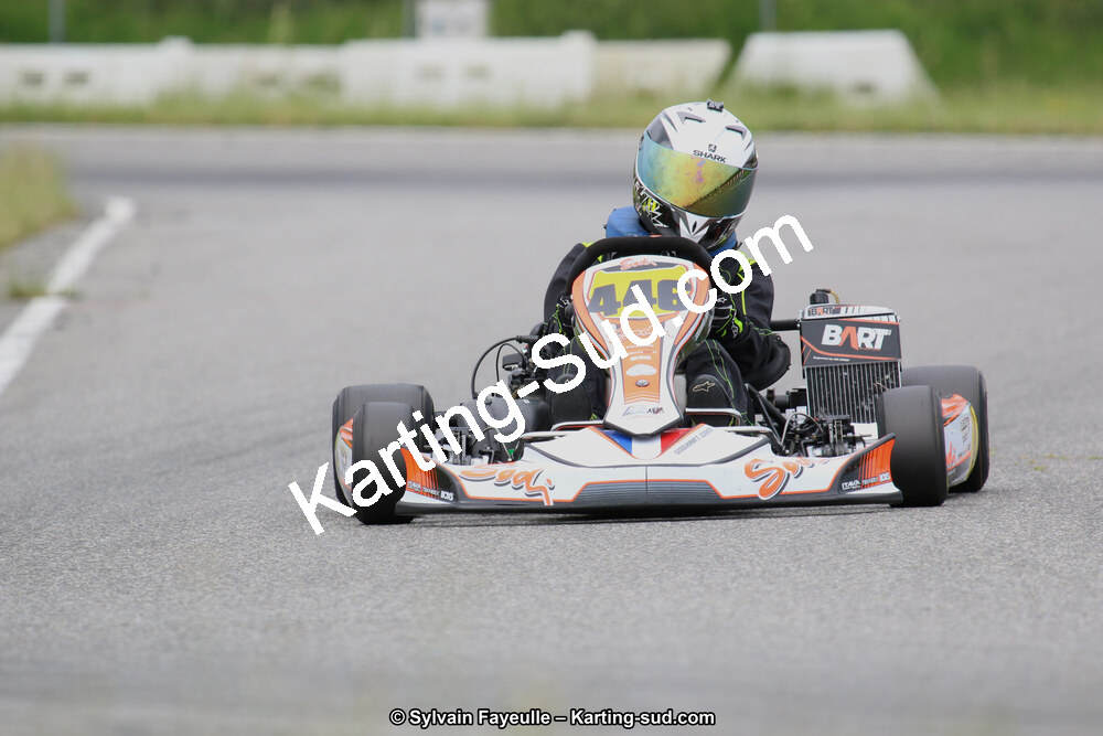 12/06/2016 : Course Club de Muret (Photos Sylvain Fayeulle) 2016 — karting