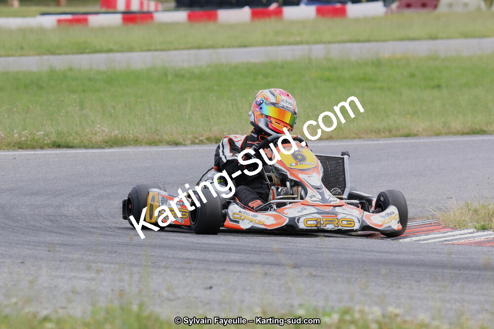 IMG_4249.JPG