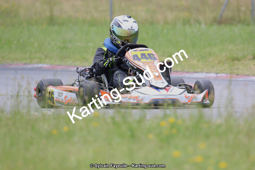 12/06/2016 : Course Club de Muret (Photos Sylvain Fayeulle) 2016 — karting