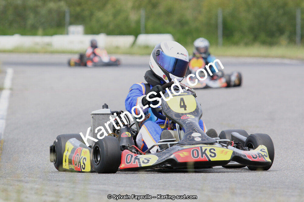 12/06/2016 : Course Club de Muret (Photos Sylvain Fayeulle) 2016 — karting