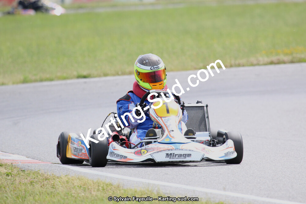 12/06/2016 : Course Club de Muret (Photos Sylvain Fayeulle) 2016 — karting