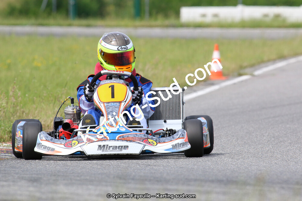 12/06/2016 : Course Club de Muret (Photos Sylvain Fayeulle) 2016 — karting