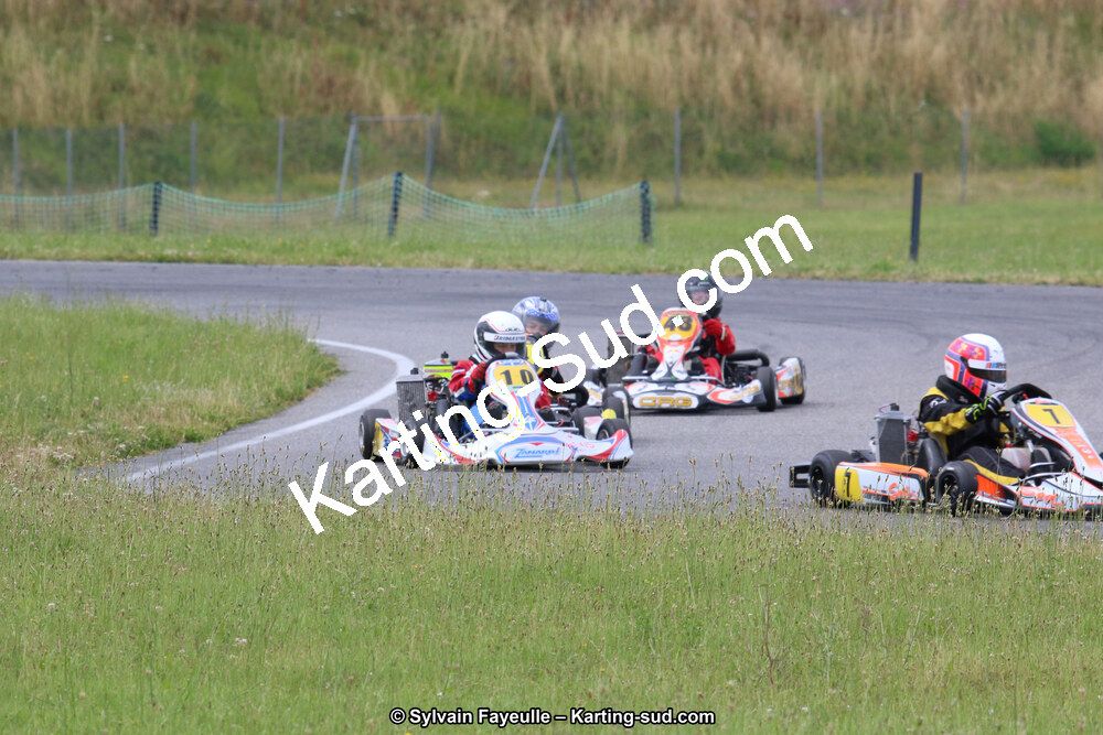 12/06/2016 : Course Club de Muret (Photos Sylvain Fayeulle) 2016 — karting