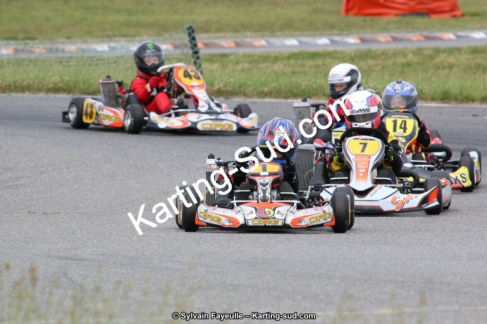 12/06/2016 : Course Club de Muret (Photos Sylvain Fayeulle) 2016 — karting