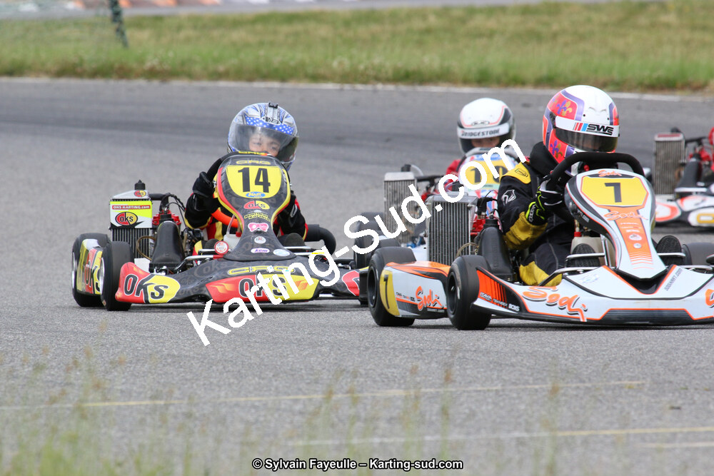 12/06/2016 : Course Club de Muret (Photos Sylvain Fayeulle) 2016 — karting