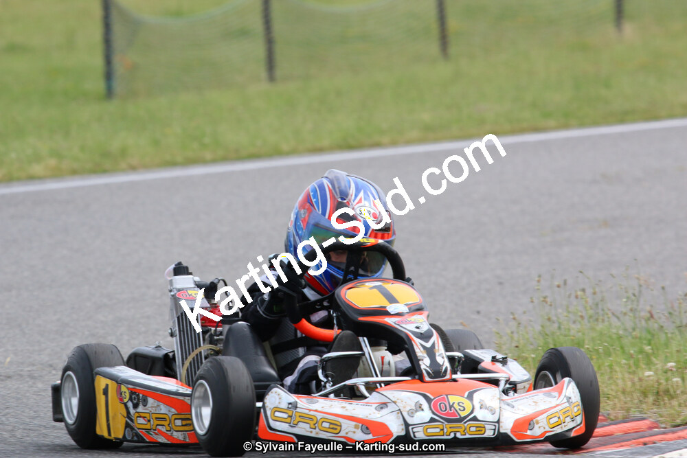 12/06/2016 : Course Club de Muret (Photos Sylvain Fayeulle) 2016 — karting