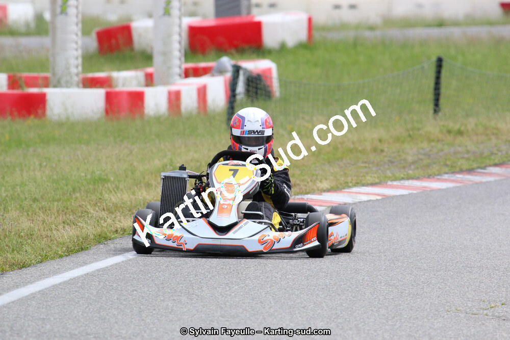 12/06/2016 : Course Club de Muret (Photos Sylvain Fayeulle) 2016 — karting