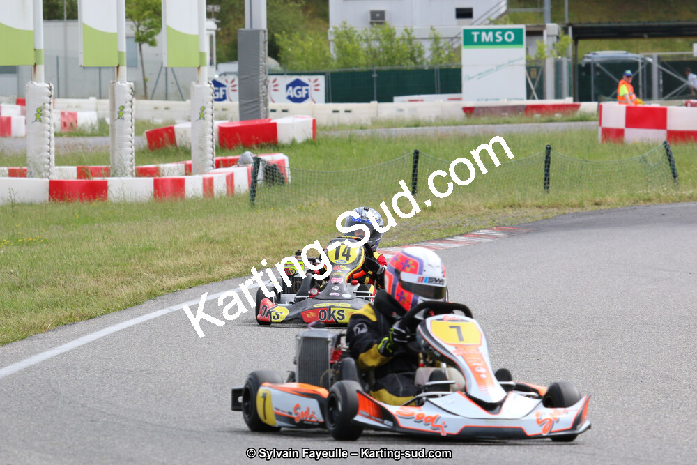 12/06/2016 : Course Club de Muret (Photos Sylvain Fayeulle) 2016 — karting