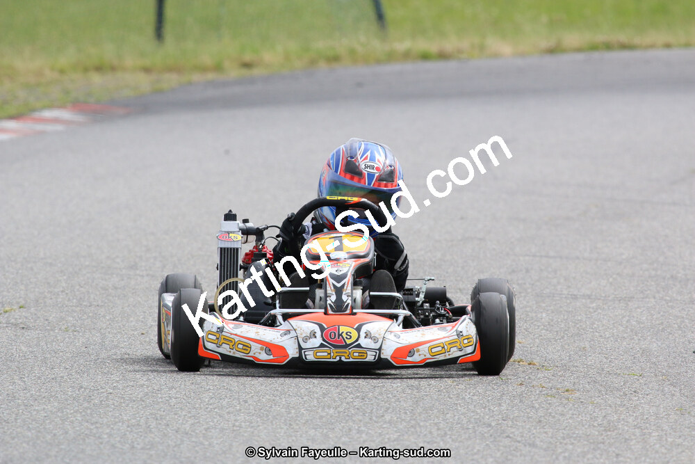 12/06/2016 : Course Club de Muret (Photos Sylvain Fayeulle) 2016 — karting