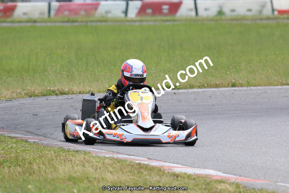 12/06/2016 : Course Club de Muret (Photos Sylvain Fayeulle) 2016 — karting