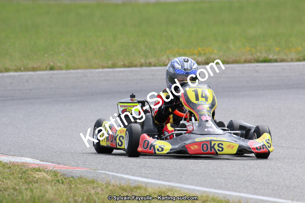 12/06/2016 : Course Club de Muret (Photos Sylvain Fayeulle) 2016 — karting