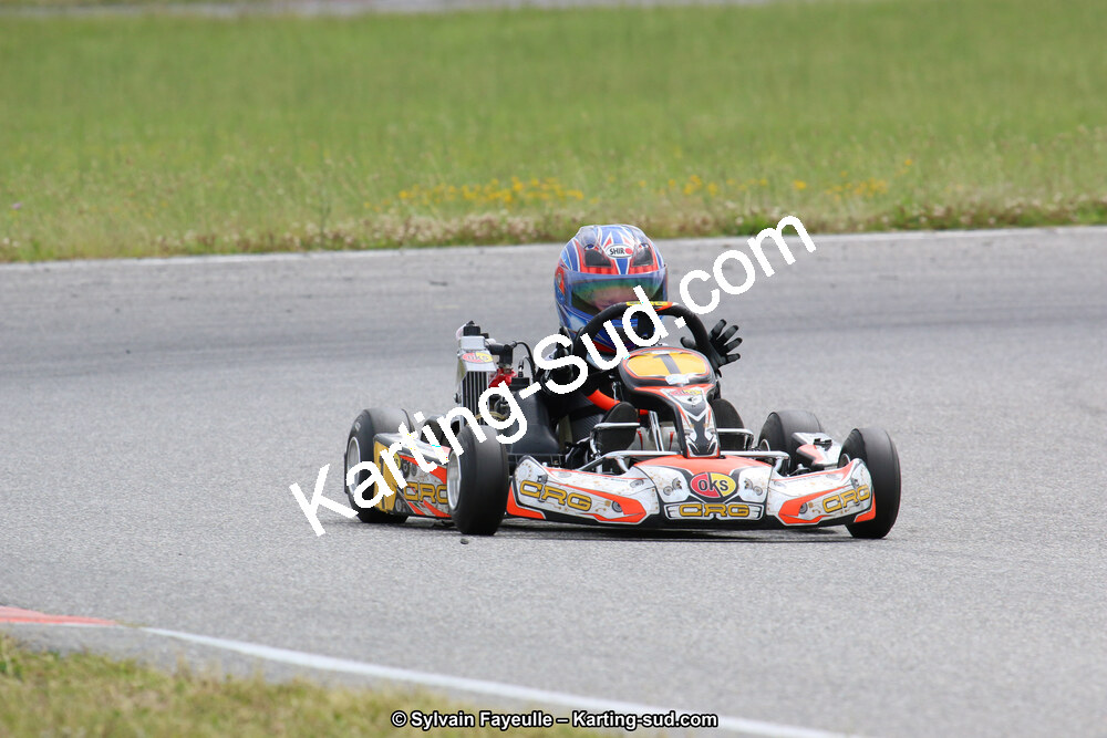 12/06/2016 : Course Club de Muret (Photos Sylvain Fayeulle) 2016 — karting